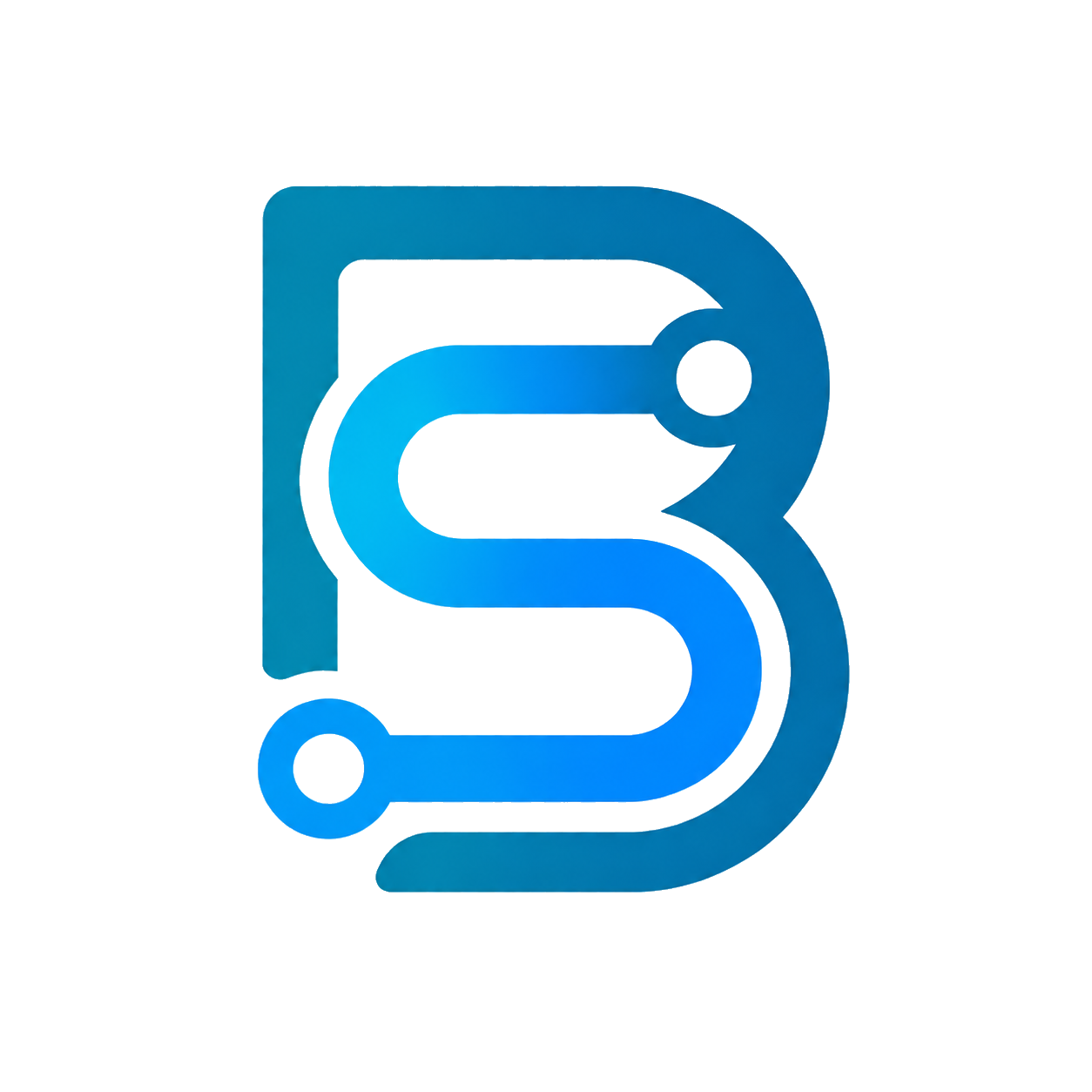 BORNEO SYSTEMS Kft. logó